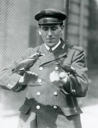 Zwei Mynavögel auf den Händen von Thomas Raggett, Londoner Zoo, Juni 1924
