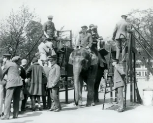 Besucher stehen für eine Elefantenfahrt an, während andere mit Hilfe von fünf Wärtern einsteigen, Londoner Zoo, 1927