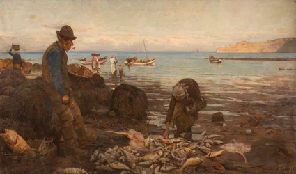 Die Ernte des Meeres