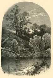 Ufer des Housatonic in Pittsfield, 1874