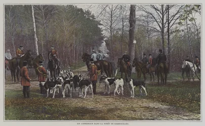 Eine Kreuzung im Wald von Rambouillet, Frankreich