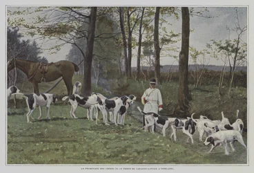 Rudel von Hunden des Barons de Carayon-Latour in Virelade, Frankreich