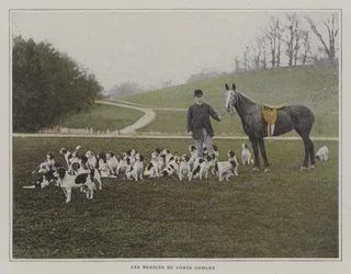 Die Beagles von Graf Cowley