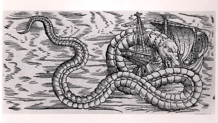 Ein Riesenseeschlange