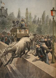 Ein Pferd begeht Selbstmord, Illustration aus Le Petit Journal: Supplément illustré, 1898