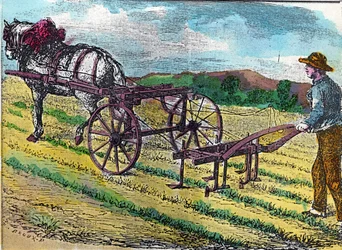 Landwirtschaft: eine der ersten mechanischen Hackmaschinen mit Tierzug, verwendet in einem Rübenfeld