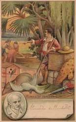 Alexander von Humboldt, preußischer Geograph, Naturforscher und Entdecker