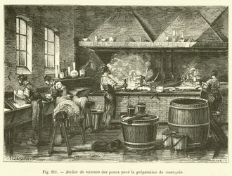 Werkstatt zum Färben von Häuten zur Vorbereitung von Maroquin