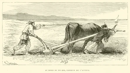 Am Ufer des Pei-Ho, Skizze des Autors