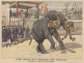 Kampf zwischen einem Elefanten und einem Tiger in einem Zirkus in Annam, Indochina