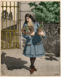 Bernard de Jussieu (1699-1777), französischer Botaniker, der 1734 zwei Zedern aus dem Libanon aus England brachte. Gravur von 1885 in „Les arts et métiers illustrés“ von Adolphe Bitard.