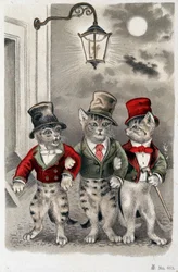 Katzen in Szene - Postkarte Anfang 20. Jahrhundert.