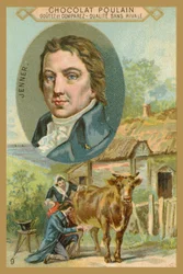 Chocolat Poulain Handelskarte, Edward Jenner