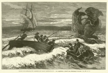 Sturz des Aeronauten Zambeccari in die Adria (Gravur)