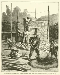 Kolonisation in den Vereinigten Staaten (Stich)