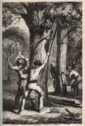 Korkernte auf Quercus suber - Ernte der Rinde der Korkeiche (chêne-liège) in den Landes - Gravur in „PATRIE - DESCRIPTION PICTURESQUE DE LA FRANCE IN 6 VOLUMES BY LUCIEN HUARD - Ende 19. Jahrhundert
