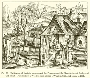 Getreideanbau bei den Bauern und Herstellung von Gersten- und Haferbrot