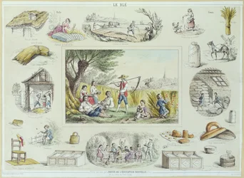 Bildungstafel von Mais, ca. 1860-1870