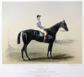 Berühmtes Rennpferd - in „Der Centaur“ 1866