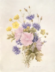 Feldblumen, 1842