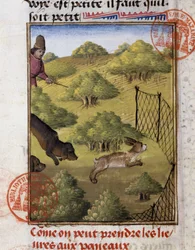 Hasenjagd - in „Jagd Buch von Gaston Phoebus, Graf von Foix, Herr von Béarn“