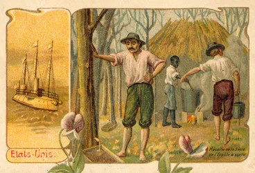 Ernte von Ahornsaft zur Herstellung von Ahornsirup, Vereinigte Staaten