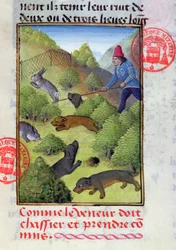 Kaninchenjagd mit Hunden und Netzen, aus dem Livre de la Chasse von Gaston Phebus, frühes 15. Jahrhundert