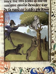 Jagdszene mit einem Luchs - in „Jagd Buch von Gaston Phoebus, Graf von Foix, Herr von Béarn“