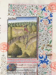 Jäger versteckt sich hinter einem Lockvogel bei der Jagd auf einen Hirsch, aus dem Livre de la Chasse von Gaston Phebus de Foix (1331-91)
