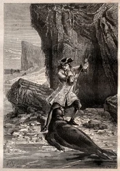Ich stieß meine Schaufel in seine Brust: Woodes Rogers (1679-1732) wird 1709 auf einer der Galapagos-Inseln im Pazifischen Ozean von einem Seelöwen (Robbe) angegriffen - Illustration aus „Die großen Seefahrer des 18. Jahrhunderts“