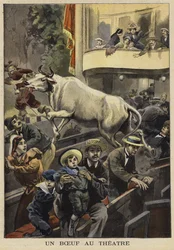 Unterbrechung einer Theateraufführung durch einen Ochsen, Villefranche-de-Lauragais, Frankreich, 1897