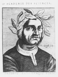 Jacopo Sannazaro (Stich)
