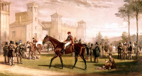 Jockey auf seinem Pferd auf der Rennbahn von Longchamps