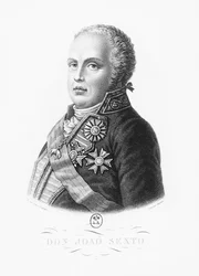 Johann VI. von Portugal (Stich)
