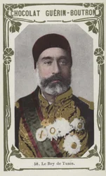Der Bey von Tunis