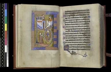 Aus dem Psalter und Stundenbuch der Isabella von Frankreich, Paris, ca. 1265-70