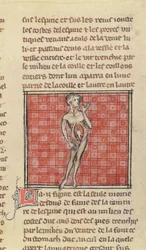 Anatomische Figur, aus La Chirurgie de Maitre Henri de Mondeville