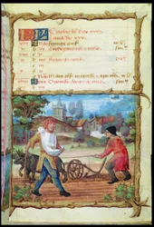 Der Monat Oktober: Pflügen und Säen, aus einem Stundenbuch, 1490