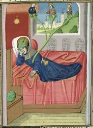 Der Baum Jesse, aus der Bibel von Jean XXII