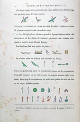 Notizen zur Färbung bestimmter Hieroglyphen, aus Grammaire Egyptienne von Jean Francois Champollion (1790-1832) 1836