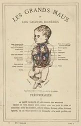 Normale Organisation des Kindes zum Zeitpunkt seiner Geburt