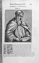 Porträt von Amerigo Vespucci (1454-1512)