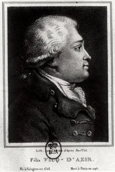Porträt von Felix Vicq d