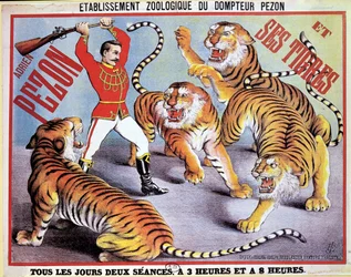 Plakat, das Adrien Pezon und seine Tiger bewirbt, ca. 1897