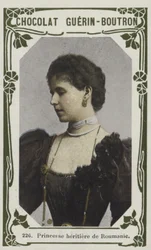 Kronprinzessin von Rumänien