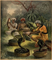 Schlangenbeschwörer (Kobras) in Indien. Gravur in 