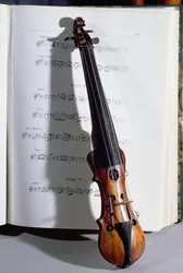 Saiteninstrument eines Tanzmeisters, 19. Jahrhundert (Holz)