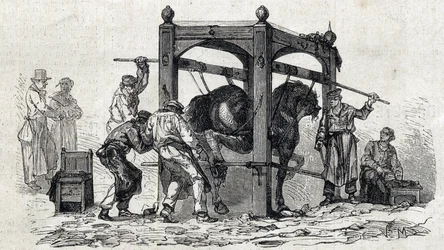 Die Nationale Veterinärschule von Alfort - Les grandes écoles de France - École vétérinaire de Maison Alfort en 1866 - das Beschlagen widerspenstiger Pferde - Gravur in 