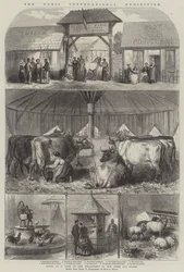 Die Pariser Internationale Ausstellung