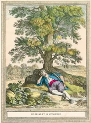 Die Eichel und der Kürbis